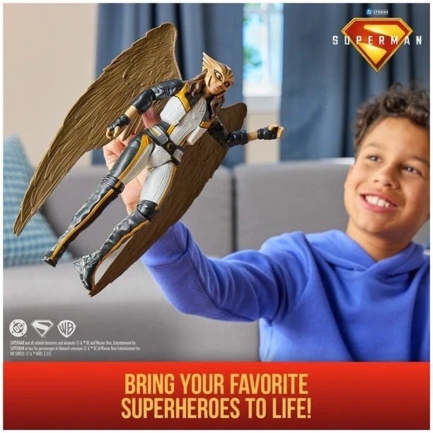 DC Comics Superman Hawkgirl 12-Inch Superhero Action Figure - Moonlight Collectibles product image
