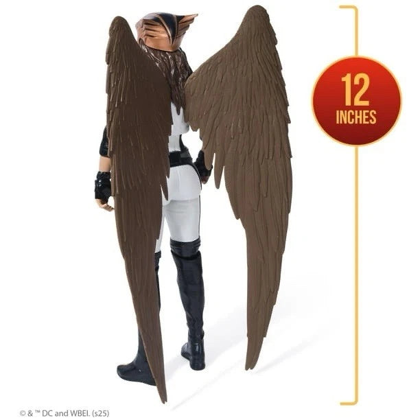 DC Comics Superman Hawkgirl 12-Inch Superhero Action Figure - Moonlight Collectibles product image